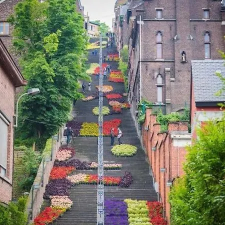 Le Liegeois - Proche Centre - Maison De Maitre