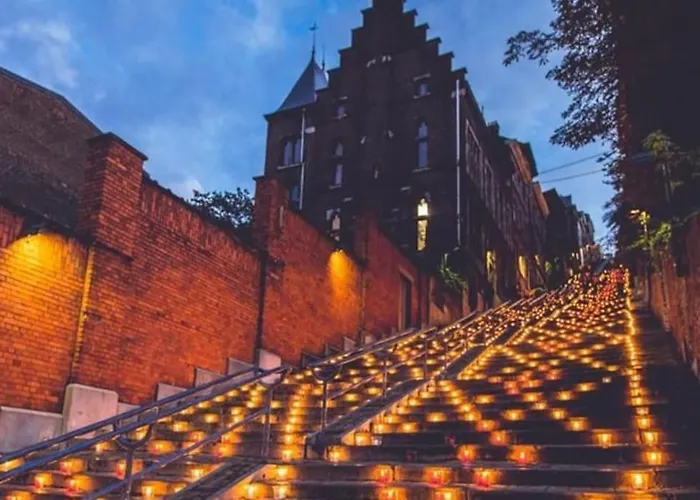 Le Liegeois - Proche Centre - Maison De Maitre Lägenhet Liège